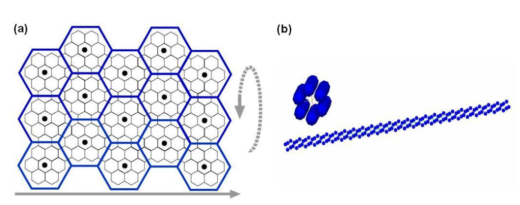 Dissipative particle dynamics simulation of carbon nanotubes