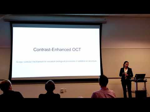 Orly Liba Stanford PhD Thesis Defense